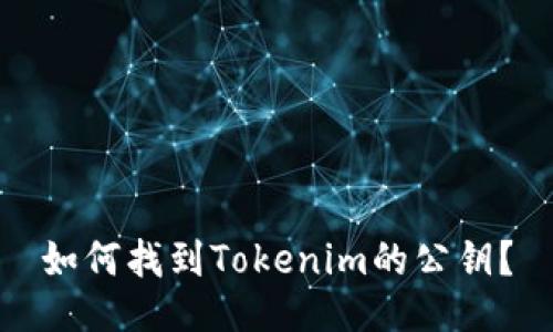 如何找到Tokenim的公钥？
