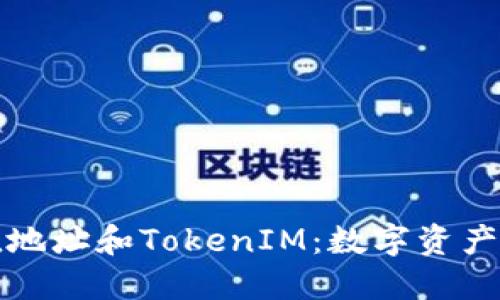 交易所充值地址和TokenIM：数字资产管理的关键