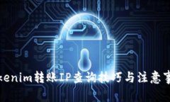 Tokenim转账IP查询技巧与注意事项