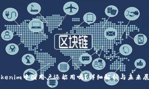Tokenim中国用户还能用吗？详细解析与未来展望