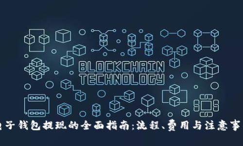 电子钱包提现的全面指南：流程、费用与注意事项