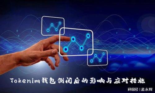 Tokenim钱包倒闭后的影响与应对措施