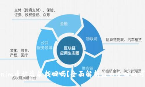 br
Tokenim币被盗能找回吗？全面解析盗币追回的可能性
