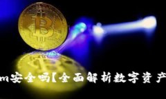 Tokenim安全吗？全面解析数字资产安全