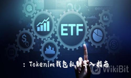 : Tokenim钱包私钥导入指南