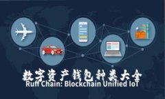 数字资产钱包种类大全