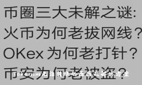 Tokenim无法转账的原因及解决方案