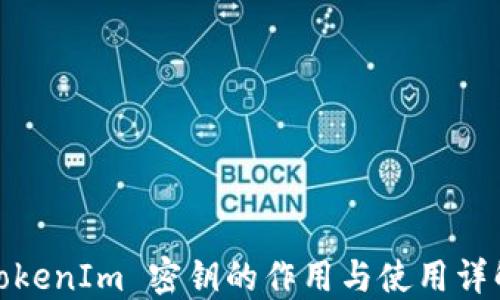 
TokenIm 密钥的作用与使用详解