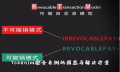 Tokenim安全自测的困惑与解决方案
