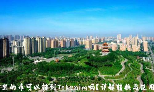 
币用里的币可以转到Tokenim吗？详解转换与使用方法