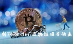 深入解析Tokenim：区块链项目的未来之