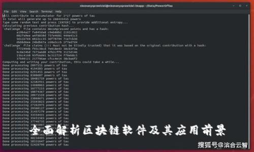 全面解析区块链软件及其应用前景