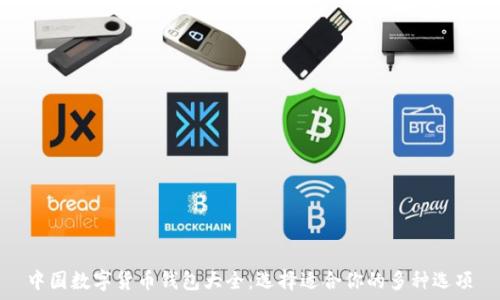  
中国数字货币钱包大全：选择适合你的多种选项