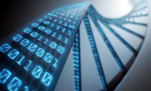 

BTCSUDT交易指南与软件下载