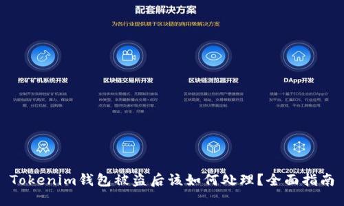 Tokenim钱包被盗后该如何处理？全面指南