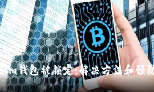 Tokenim钱包被锁定：解决方法和预防措施