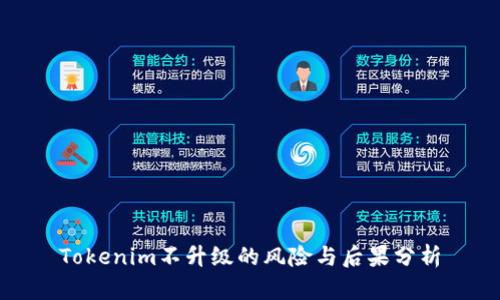 Tokenim不升级的风险与后果分析
