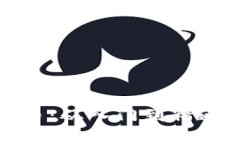 全面解析派币：从入门到精通的使用教