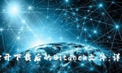 如何打开下载后的Bitdock文件：详细指