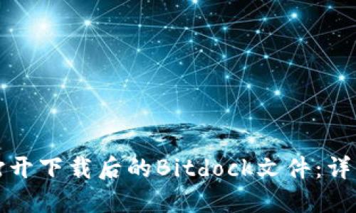 如何打开下载后的Bitdock文件：详细指南