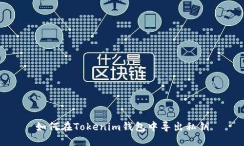 如何在Tokenim钱包中导出私钥