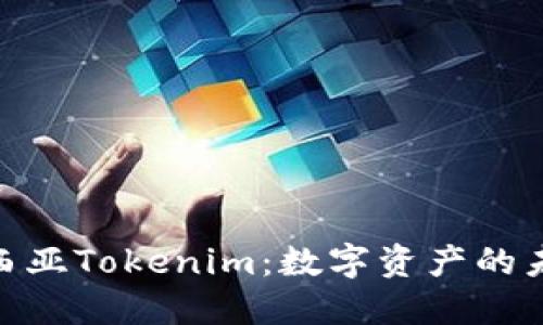 : 马来西亚Tokenim：数字资产的未来之路