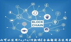 国内可以使用PayPal付款吗？全面解析与
