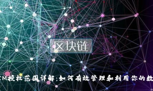 TokenIM授权范围详解：如何有效管理和利用你的数字资产