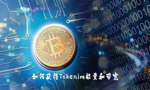 如何获得Tokenim能量和带宽