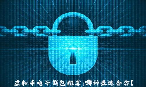
虚拟币电子钱包推荐：哪种最适合你？