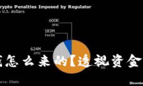 区块链钱包的钱怎么来的？透视资金来源与流动机制