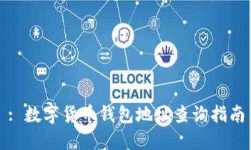 : 数字货币钱包地址查询指南