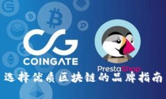 选择优质区块链的品牌指南